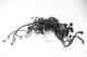 1997 Triumph Daytona 955i T595 Wiring Harness A92C