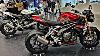 2024 All Triumph Motorcycles