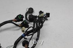 99-06 Triumph Daytona 955i Main Engine Wiring Harness Motor Wire Loom