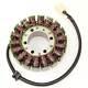 Alternator Stator Fits Triumph Daytona 955 i 2001-2006