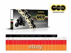 Catena Regina 136zrt Passo 530 For Daytona 955 I 04-06