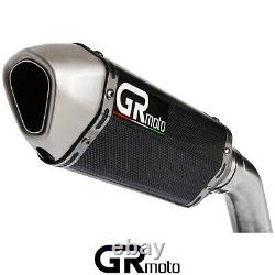 Exhaust for TRIUMPH DAYTONA 955i 02 06 GRmoto Muffler Carbon