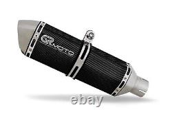 Exhaust for TRIUMPH DAYTONA 955i 2001 2006 GRmoto Muffler Carbon