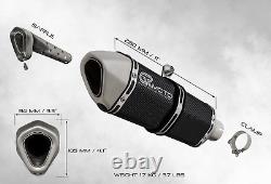 Exhaust for TRIUMPH DAYTONA 955i 2001 2006 GRmoto Muffler Carbon