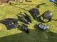 Fairing set for Triumph Daytona 955i 2003 Model