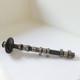 Genuine Triumph Daytona 955i T595 Intake Camshaft Intake Camshaft Cam