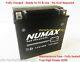 Numax YTX14-BS TRIUMPH Daytona 955i, Sprint ST RS 99-04 AGM/Gel Upgrade Battery