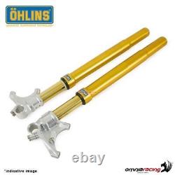 Ohlins set front fork springs weight 90kg for Triumph Daytona 955i 2002