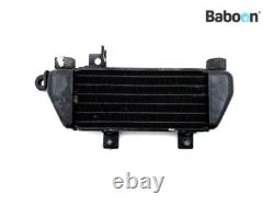 Oil Cooler Triumph Daytona 955 2002-2004 (955i)