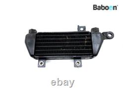 Oil Cooler Triumph Daytona 955 2002-2004 (955i)