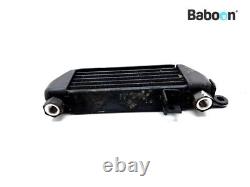 Oil Cooler Triumph Daytona 955 2002-2004 (955i)