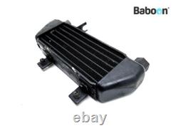 Oil Cooler Triumph Daytona 955 2002-2004 (955i)