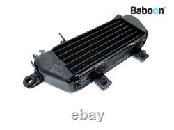 Oil Cooler Triumph Daytona 955 2002-2004 (955i)