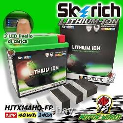 Skyrich Triumph Daytona 955 I Single Sided Swingarm Lithium Battery