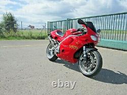 TRIUMPH DAYTONA 955i