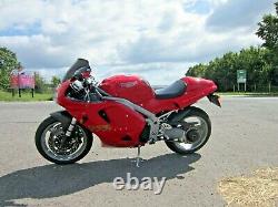 TRIUMPH DAYTONA 955i