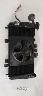 TRIUMPH SPEED TRIPLE 955i RADIATOR DAYTONA TIGER 1050 2005 (14188)
