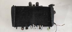 TRIUMPH SPEED TRIPLE 955i RADIATOR DAYTONA TIGER 1050 2005 (14188)