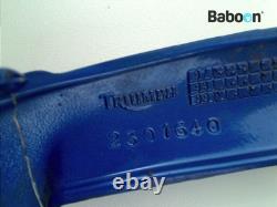 Tail Fairing Triumph Daytona 955 / T 595 1997-1998 (T595 955i) (2301640)