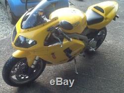 Triumph Daytona 955 i