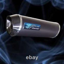 Triumph Daytona 955i 2001-2006 Exhaust Silencer Muffler Carbon Tip Satin