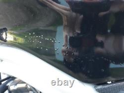 Triumph Daytona 955i Cafe racer project