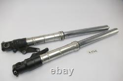 Triumph Daytona 955i T595 1997 Fork Tubes Struts A173E