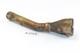 Triumph Daytona 955i T595 1997 Manifold exhaust pipe A173E