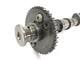 Triumph Daytona 955i T595 1999 Camshaft Exhaust Camshaft