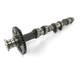 Triumph Daytona 955i T595 1999 Camshaft Intake Camshaft