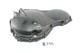 Triumph Daytona 955i T595 1999 Clutch Cover Engine Cover N74G