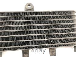 Triumph Daytona 955i T595 1999 Oil Cooler