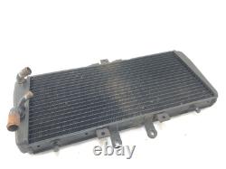 Triumph Daytona 955i T595 1999 Wasserkühler Kühler