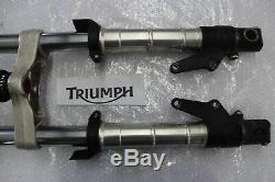 Triumph Daytona 955i T595 Fork Front Fork with Yoke Front Fork #R3720