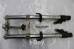 Triumph Daytona 955i T595 Gabel Vorderradgabel mit Gabelbrücke Front Fork #R3720