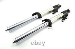 Triumph Daytona 955i T595 year 1999 fork fork pipes struts