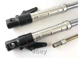 Triumph Daytona 955i T595N 2001 Fork Tele Fork with Axle