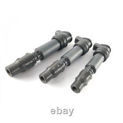 Triumph Daytona 955i T595N 2001 Ignition Flush Set