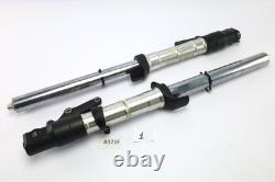 Triumph Daytona 955i T595N 2002 Fork Tubes Struts A321F-1