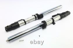 Triumph Daytona 955i T595N 2002 Fork Tubes Struts A321F-7