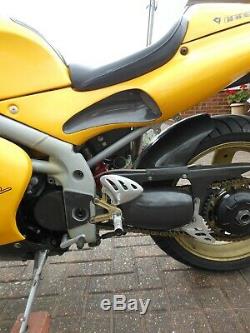 Triumph Daytona (Special) 955i