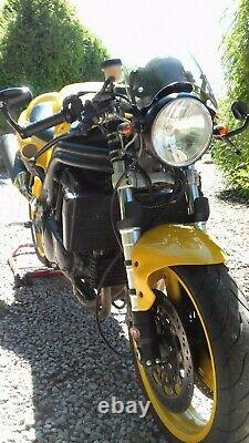 Triumph Daytona T595 955i Cafe Racer