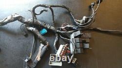 Triumph Daytona T595 T955i 98-01 Wiring Harness Wire / Loom