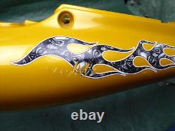 Triumph Fairing (Int.ee) Daytona 955i T595 Tailgate Speed Triple