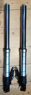 Triumph Speed Triple Daytona T509 T595 885 955i Forks T2042672/T2042673