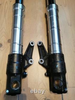 Triumph Speed Triple Daytona T509 T595 885 955i Forks T2042672/T2042673