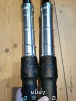 Triumph Speed Triple Daytona T509 T595 885 955i Forks T2042672/T2042673