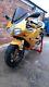 Triumph daytona t595 955i 1997