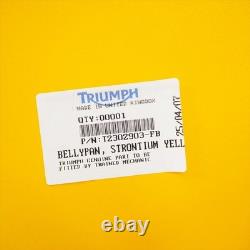 Under Cowl Triumph Daytona T595/955i