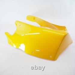 Under Cowl Triumph Daytona T595/955i